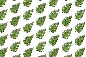 seamless patterns with green leaves of monstera. green monstera leaves pattern background. green monstera leaf seamless pattern. doodle monstera leaves pattern background. vector