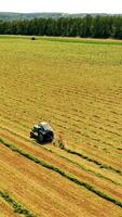 Aerial view of a tractor working in the field. Agricultural tractor turning the green grass on the meadow. Agricultural machinery making hay for cows. Vertical video