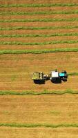 Aerial view of a tractor in the field. Agricultural machinery pressing green grass for cows on the natural background on the meadow in summer. Vertical video