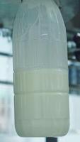 Bottles filling with milk by mechanical machine. Upgraded technology in dairy factory. Process of pouring milk into plastic bottles. Close-up. Vertical video