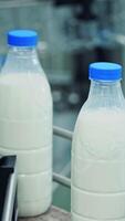 Milk bottles on conveyor belt. Slow motion of bottles with fresh milk. Beverage production line at dairy factory. Modernized milk bottling plant. Close-up. Vertical video