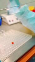 Laboratory assistant working with vials in clinic. Medical worker drops liquid into test tubes from small plastic jar. Vertical video