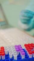 Test tubes on a rack on the laboratory table. Medical assistant in protective uniform and gloves working with vials of samples in scientific clinic. Vertical video