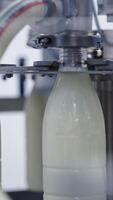 Conveyor line for pouring dairy products into plastic bottles at milk factory. Plastic bottles go around conveyor belt and filling with milk. Slow motion. Vertical video