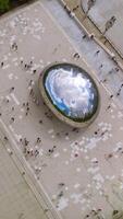 Chicago Bean in the middle of the square surrounded by greenery. Sky and skyscrapers reflecting in the Cloud Gate. Aerial view. Vertical video