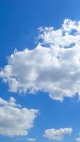 deslumbrante Claro céu com lindo nuvens. espaço de tempo do luz branco nuvens flutuando debaixo a brilhando Sol. vertical video