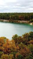 Nature with lake and forest. Aerial view of calm pine trees forest with lake Vertical video
