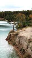 Man walking along lake. Aerial view of man walking along lake with forest Vertical video