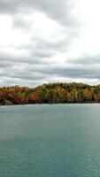 Lake near forest. High angle view with part of lake near forest Vertical video