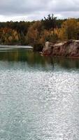 Trees and lake from above. Aerial view of wild area with blue lake and forest Vertical video