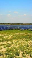solar bateria em Prado. solar bateria painel em a verde Prado vertical video