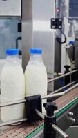 Milk bottles on conveyor belt. Hand is taking empty bottle from conveyor belt. Ready beverage production line at dairy factory. Close-up. Vertical video