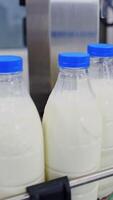 Milk bottles on a conveyor line. Bottles with white milk and blue lids moving on automated conveyor belt in a modernized dairy plant. Vertical video