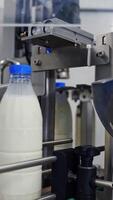 Dairy industry in the robotic plant indoors. Bottles with milk moving on a conveyor line. Modern technology of producing dairy products. Vertical video