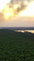 Panoramic view on green forest at sunset. Natural background of summer scenery of green trees and rivers. Aerial view. Slow motion. Vertical video