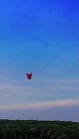papel lanternas flutuando dentro céu. aéreo Visão do solteiro flutuando lanterna contra floresta. vertical video