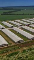 Premises of the poultry farm. Complex of white buildings poultry farm from a height. Vertical video