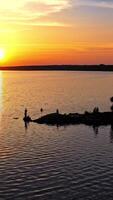 Atmospheric view of sunset. Reflection of sunset over river at evening. Vertical video
