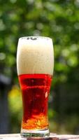 Cold beer in a glass with white foam. Craft beer in a glass with small bubbles inside. Cool brown beverage on a table outdoors. Close-up. Vertical video