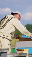 Male beekeeper takes a frame out of hive and cleans it from bees. Apiculturist piles the half-frames on the hive. Blurred backdrop. Vertical video