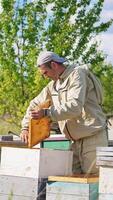 Hard-working apiarist working at the rural bee farm. Specialist placing an empty frame into one of the hives. Nature backdrop. Vertical video