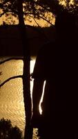 Silhouette Of Hiker Man. Silhouette of a hiker going alone with sunset forest on background Vertical video