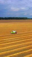 Combine harvester working on a wheat field. Combine harvester Aerial view. Vertical video