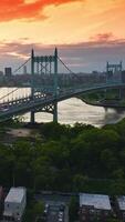 Marvelous bridge connecting green banks of the river. Busy traffic along the bridge. Megapolis skyline at backdrop. Vertical video