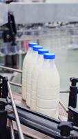 Production line of milk. Automated production line in modern dairy factory Vertical video