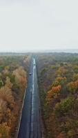Tree forest with a road going through. Top view of asphalt road passes through the forest Vertical video