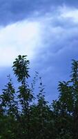 Lightning storm over sky. View of the lightning strike on the dark cloudy sky Vertical video