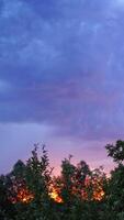 Bright flash of lightning. Flashes of lightning in the sky during sunset Vertical video