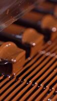 Sweets are poured with chocolate and blown by the airflow. Little waves of chocolate roll along the candies close up. The production line at a candy factory. Vertical video