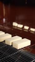 White candies move on the conveyor line to the flow of chocolate. Manufacture of chocolate candies at the sweets factory. Close up. Vertical video