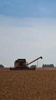 Machine for picking crops standing in the vast yellow field. Modern combine ready to work on a harvest season. Harvester machine with the turned on upper flasher. Vertical video