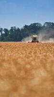 Vast field of ripe wheat being mowed by the harvester. Combine machine moving in the dusty clouds in the farmland. Wheat field close up blurred. Vertical video