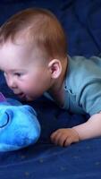 Cute lovely interested baby boy crawls to the toy lying on the bed in front of him. Caucasian baby playing with a soft toy on blue backdrop. Vertical video