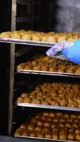 Freshly baked profitroles being taken off the oven. Factory worker pulls the baking sheet from oven and puts it on the table. Close up. Vertical video