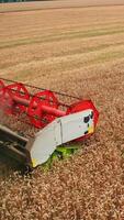 Red bright mowing mechanism of a harvester rotating and cutting ripe wheat. Side view. Huge golden plantation backdrop. Vertical video