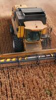Combine harvesters working in the yellow farmlands. Picking crops at vast wheat field on sunny summer day. View from above. Vertical video