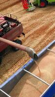 Freshly-picked crops downloaded in a tractor. Red harvester finishes uploading harvest and leaves to continue work in the field. Top view. Vertical video