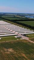 New modern farming complex located in the fields. White straight rows of farming barns. Beautiful nature landscapes at the background. View from above. Vertical video