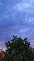 Strong wind shakes the tops of trees on the sky with lightning background. Strong lightning on the blue sky with moving clouds in the evening. Vertical video