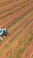 Aerial panoramic view of a huge field with agricultural works. Tractor scatters grass in a sunny summer day. Camera moves bottom up. Vertical video