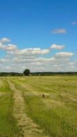 Tractor Collecting Straw Bales. Huge tractor collecting haystack in the field at nice blue sunny day Vertical video