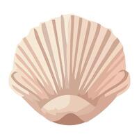 A shell on a white background vector
