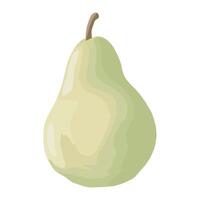 A pear is shown on a white background vector