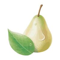Pear with green leaf illustration on white vector