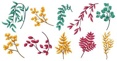 Set of different green, red and yellow twigs and branches with leaves vector
