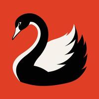 Black and white swan in red background. vector